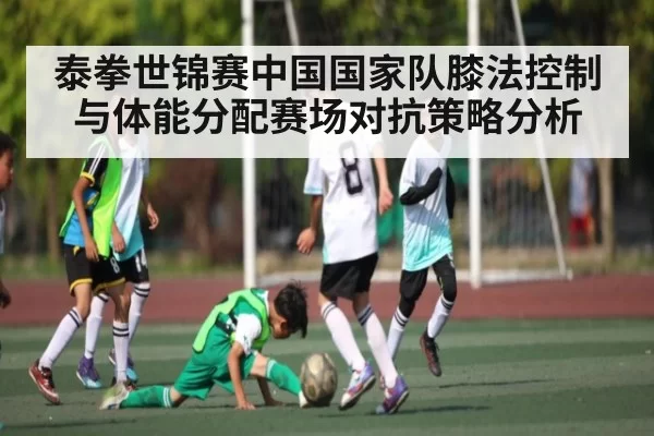 泰拳世锦赛中国国家队膝法控制与体能分配赛场对抗策略分析 | Esports8